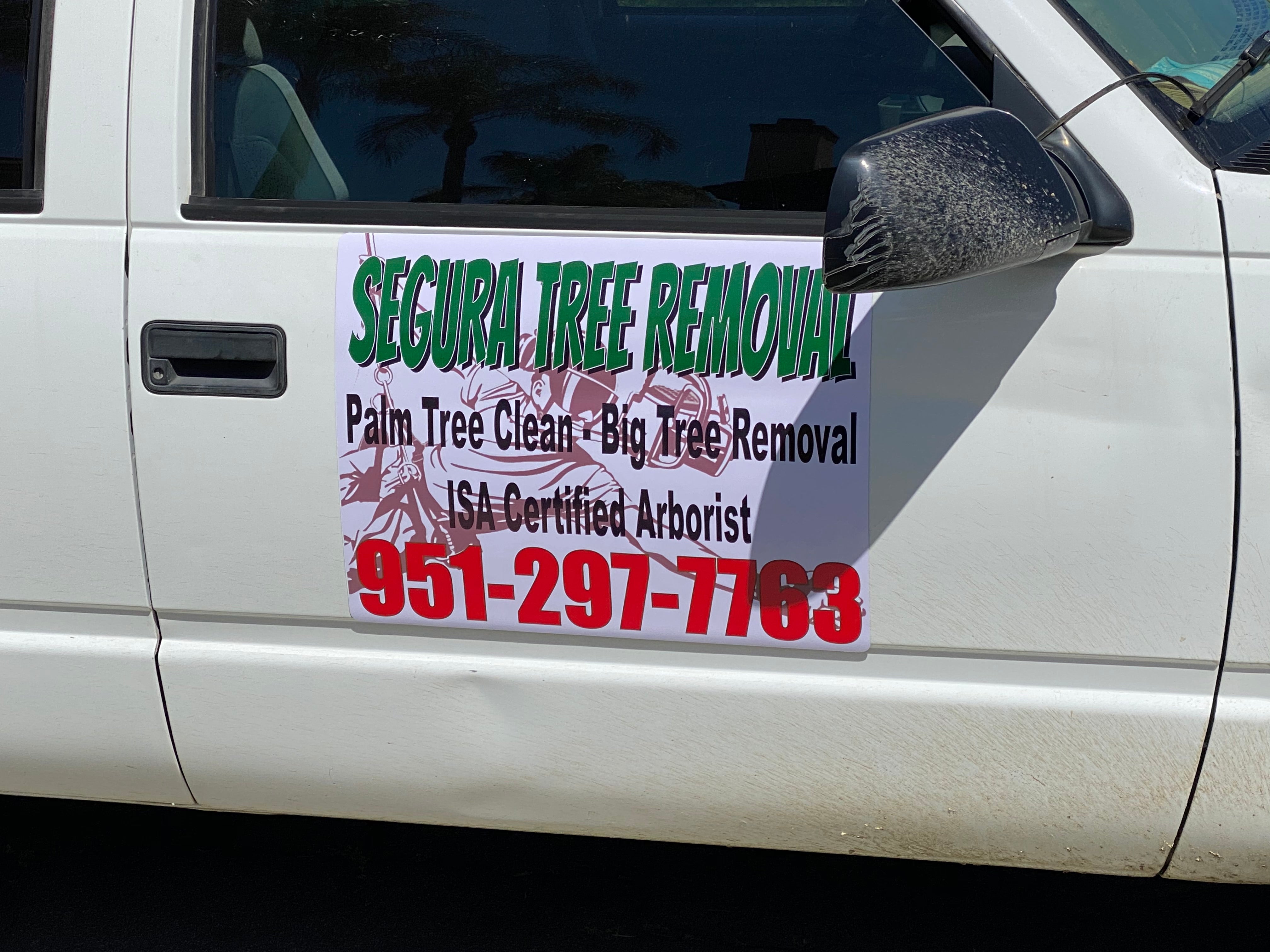 Personalised Magnetic Van Signs Or Stickers – TREE SERVICE Signs – Vehicle Decal